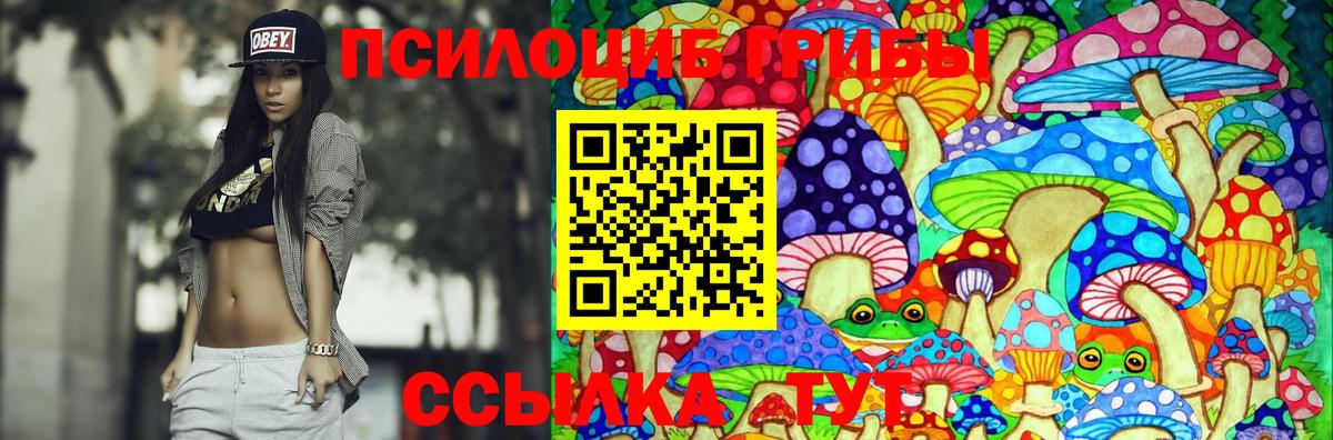 Галлюциногенные грибы Cubensis Нальчик