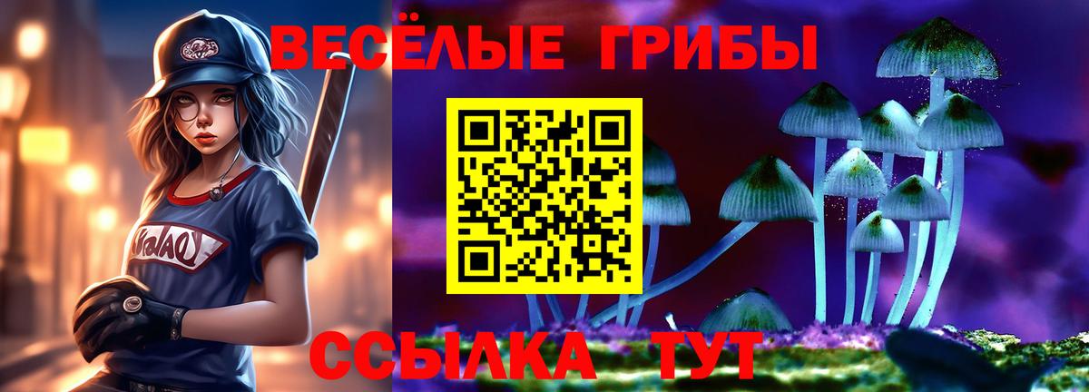 Псилоцибиновые грибы GOLDEN TEACHER  Галлюциногенные грибы мицелий  Нальчик  Вход с VPN 